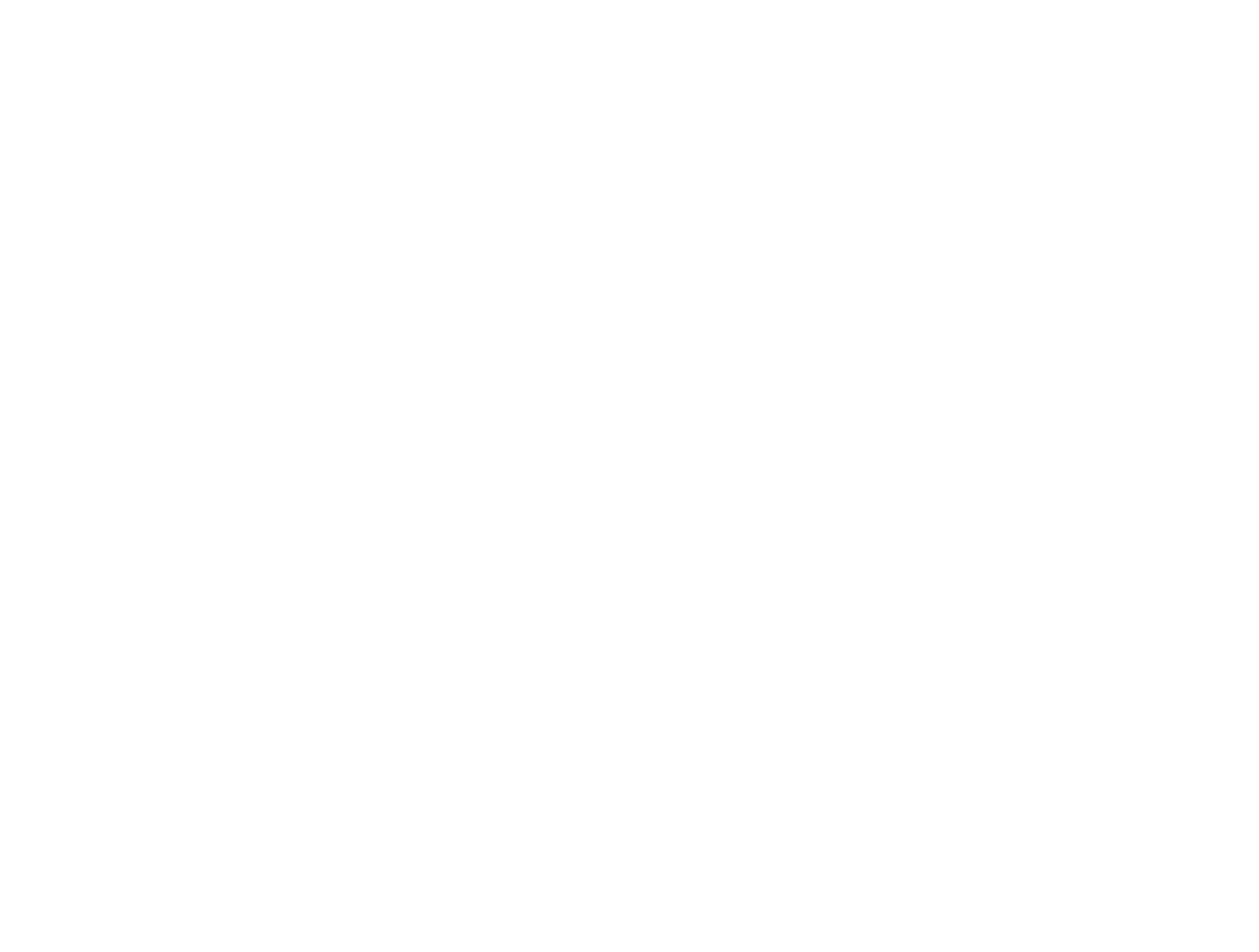 MAGISOFT
